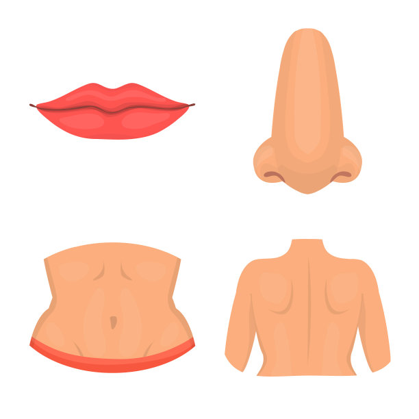 身体和部分符号集图片下载