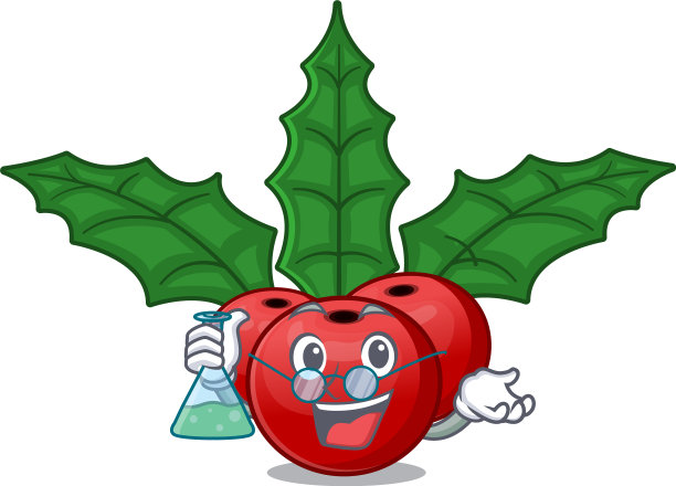 圣诞教授把冬青浆果分开了图片下载