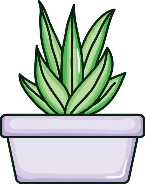 方陶罐植物自然图片下载