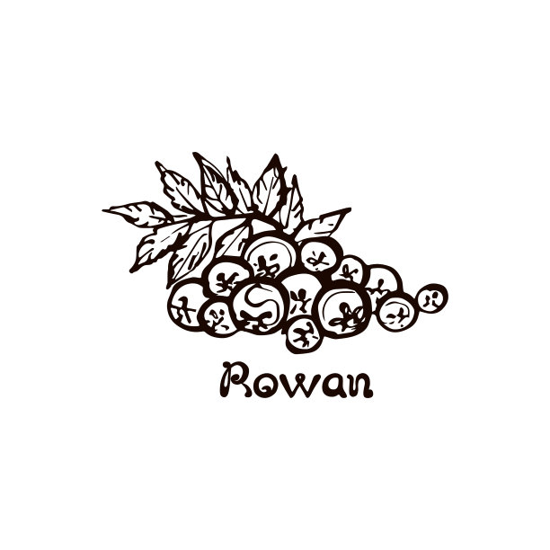 手画花与手写文字在白色图片下载