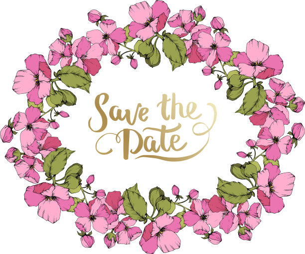 粉红色的苹果花，植物花图片下载