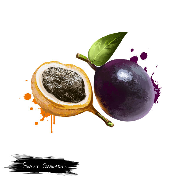 玫瑰梨酱或甜蜜的格拉纳迪亚酱图片下载