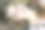女占星家被星象所包围图片下载