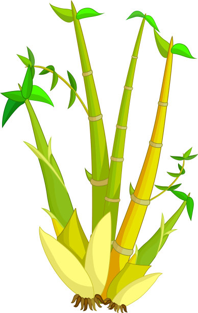 凉爽的黄绿色竹树卡通图片下载