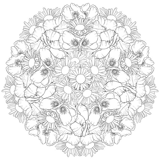 画百合花图片下载