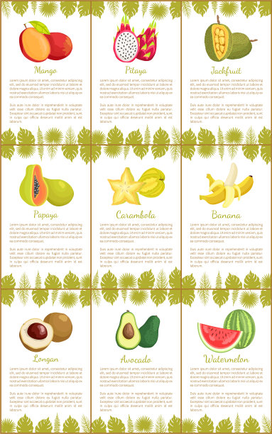 芒果和火龙果杨桃海报套装图片下载