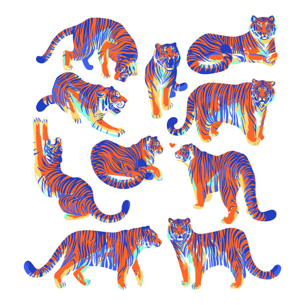 图片收集的老虎在不同的姿势图片下载