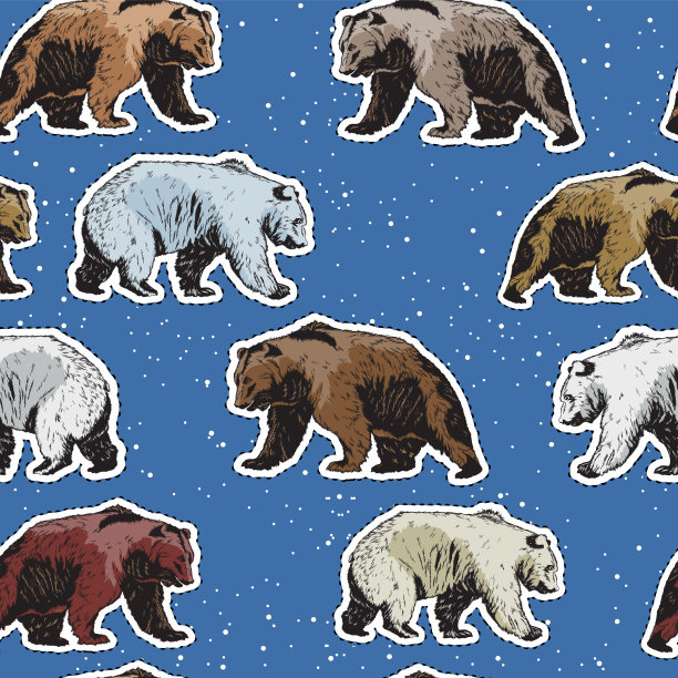 无缝模式与北极熊和棕熊图片下载