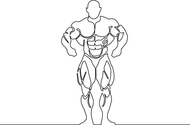 连续线健美运动员图片下载