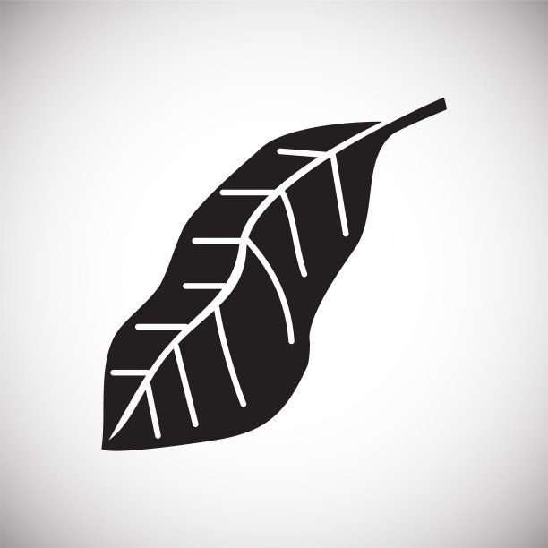 热带叶子在白色背景的图形和图片下载