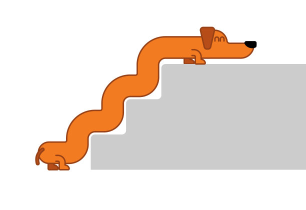 腊肠和楼梯长狗隔绝憔悴回家图片下载