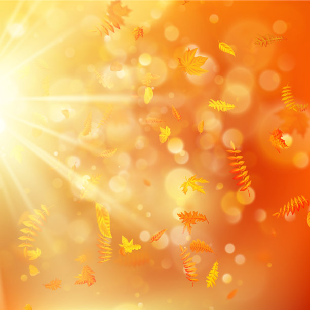 秋天的背景带着自然而明亮的树叶图片下载