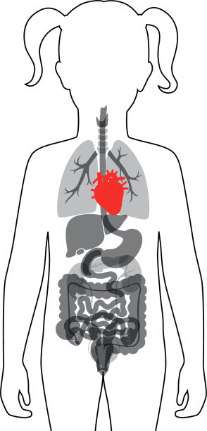 孤立的心图片下载
