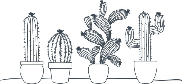 仙人掌盆栽孤立图标图片下载