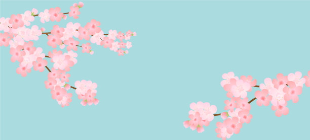 水平模板与樱花春天图片下载