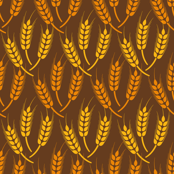 无缝型穗小麦图片下载