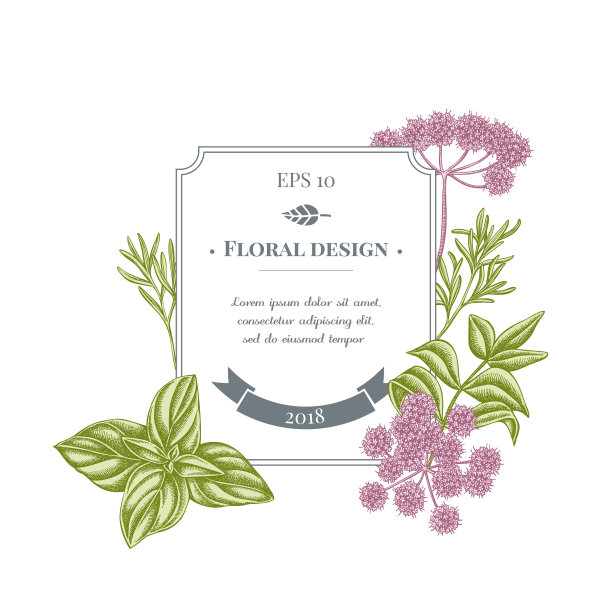 徽章设计与柔和的当归罗勒迷迭香图片下载