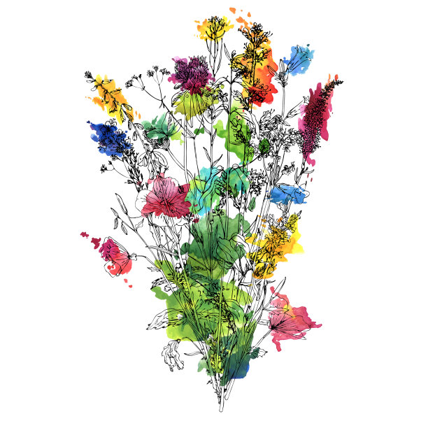 带有野生植物的花束图片下载