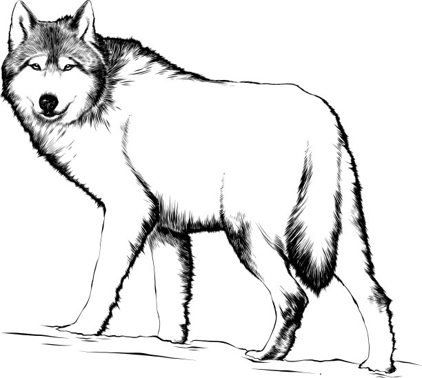 用于海报装饰和印刷的雕刻风格图片下载