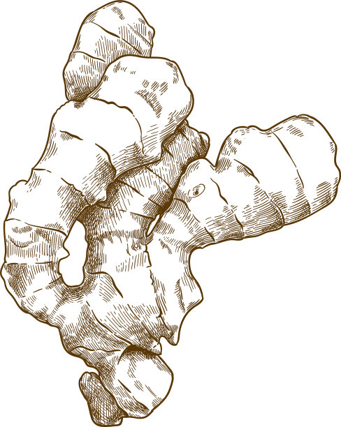 雕刻姜图片下载