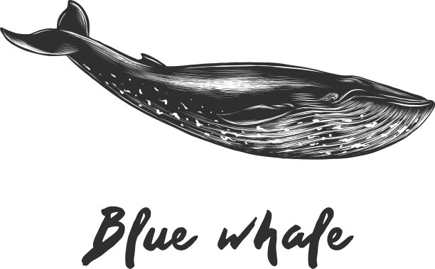 用于海报装饰和印刷的雕刻风格图片下载