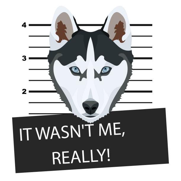 大头照，大头照哈士奇图片下载