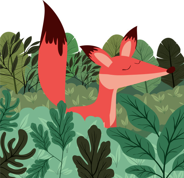 野狐狸在丛林的场景图片下载