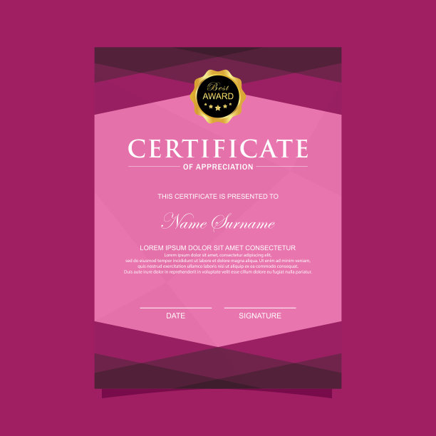 垂直现代证书模板图片下载