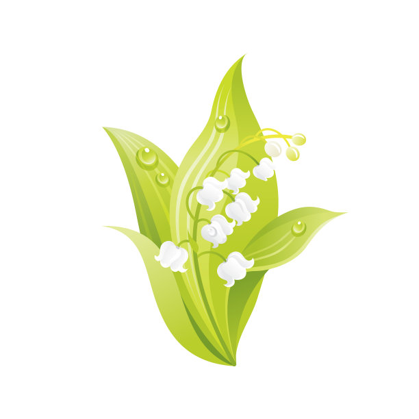 百合谷花花卉图标逼真图片下载