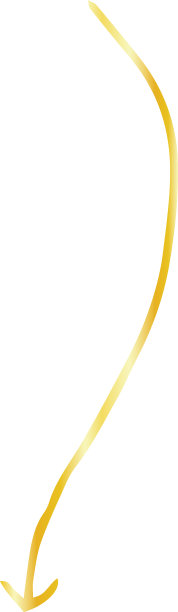 金简单细箭头变异图片下载