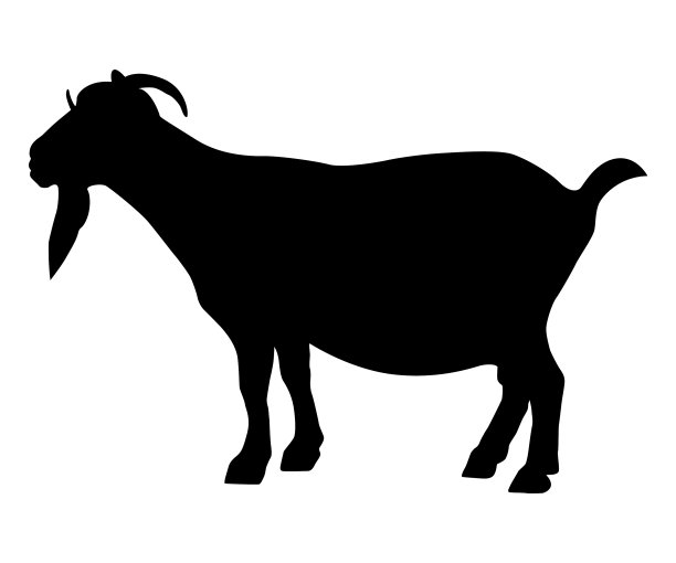 一个黑色的山羊图片下载