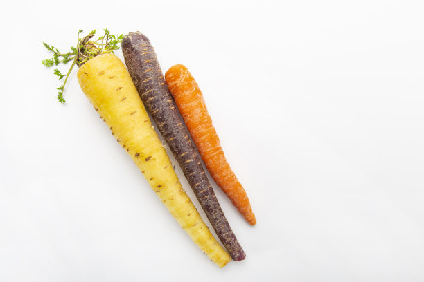 不同颜色的胡萝卜图片下载