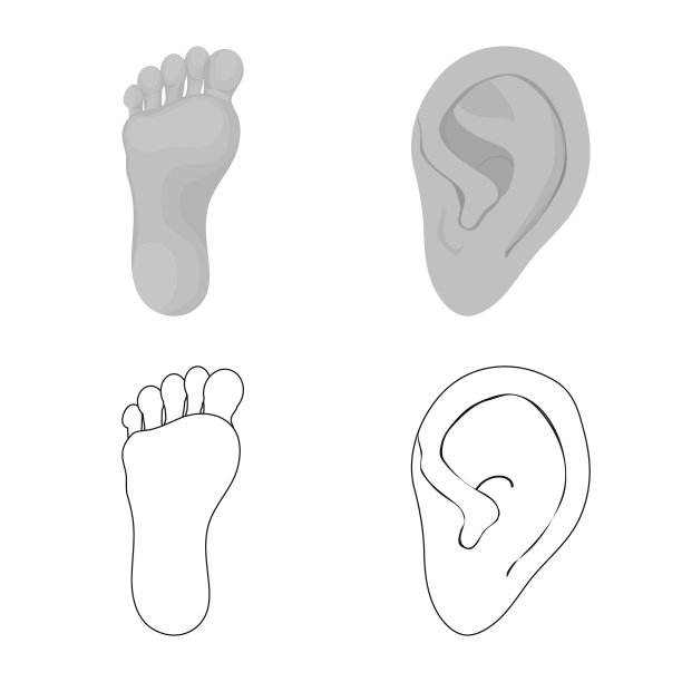 孤立的对象体和部分符号集体图片下载