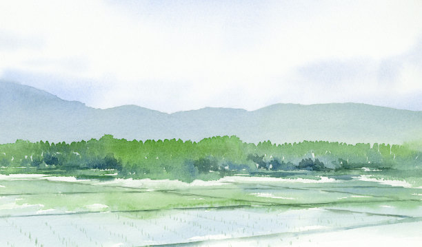 水彩画的稻田。图片下载