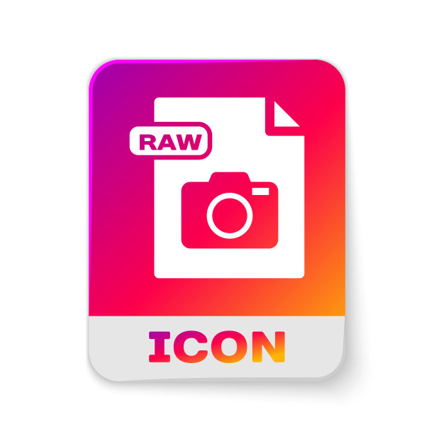 白色原始文件文件下载原始按钮图标图片下载