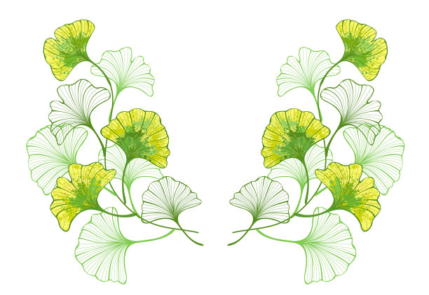 对称图案多彩的银杏叶图片下载