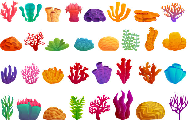 珊瑚图标设置卡通风格图片下载