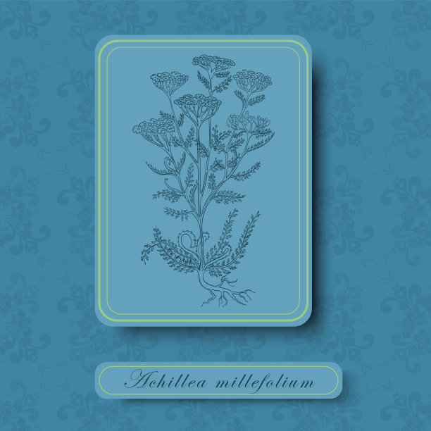 复古风格的图片与蓍草图片下载