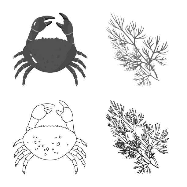 设计品位和产品标志集之图片下载