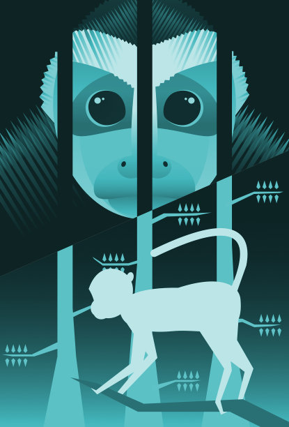 自由的猴子和囚禁的猴子图片下载