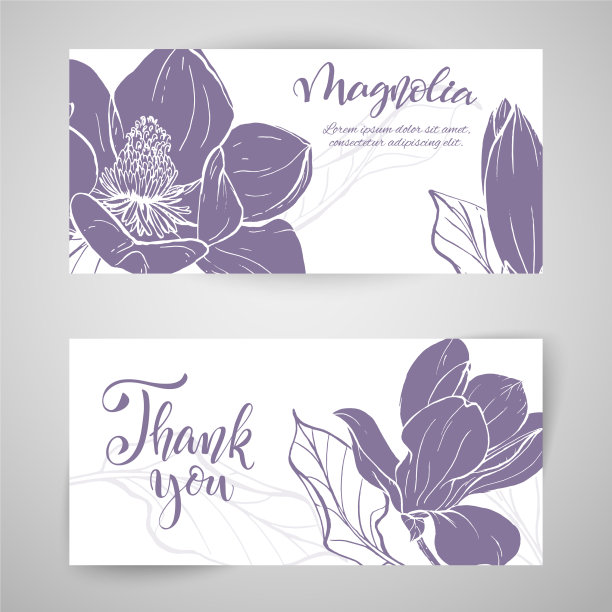 速写木兰花线形开花图片下载