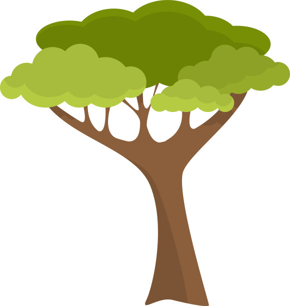 落叶乔木，树冠淡绿色，长素材图片