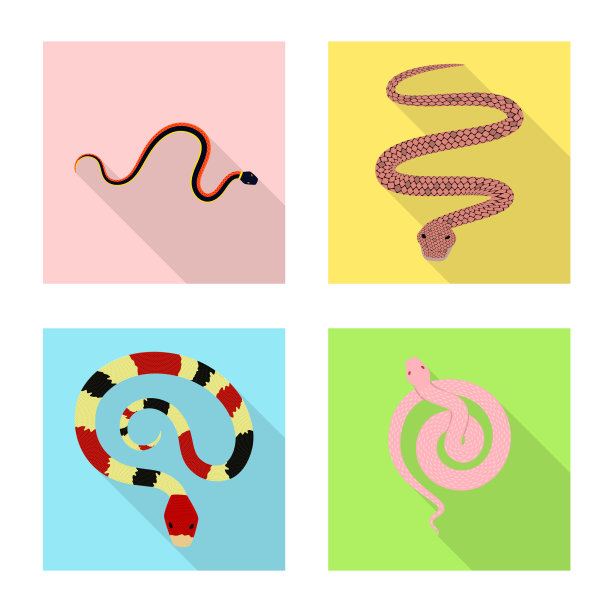 设计皮肤和爬行动物符号图片下载