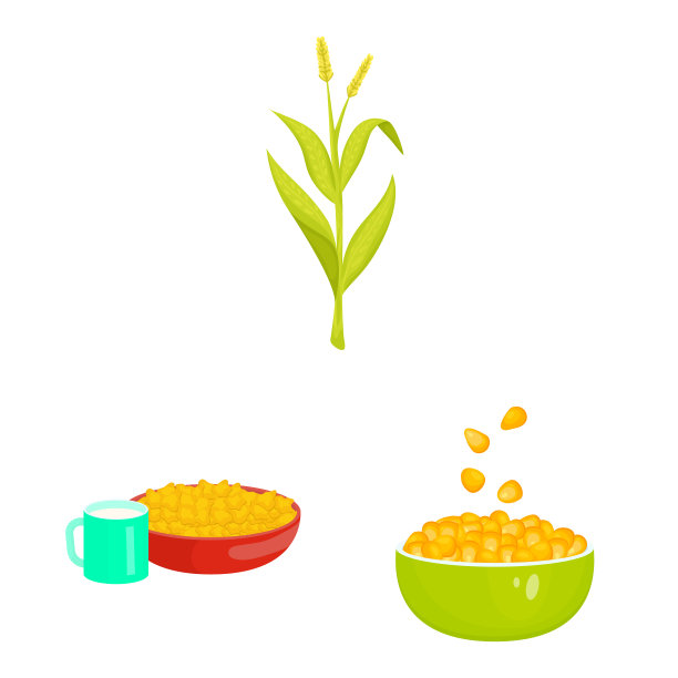 设计玉米和食品标志集玉米图片下载