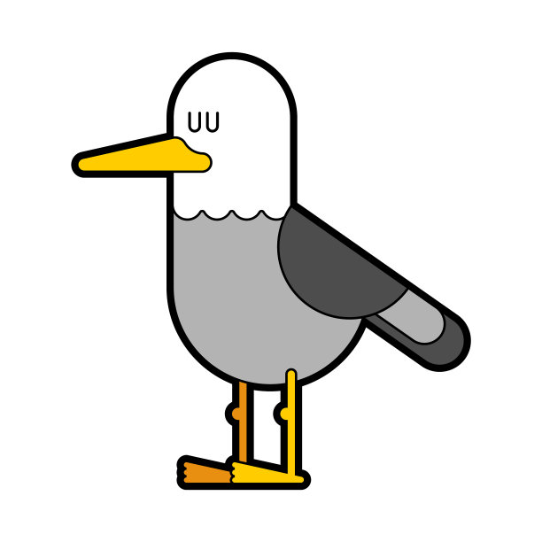 海鸥孤立的海鸥鸟海洋图片下载