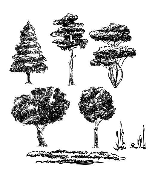 植物示意图图片下载