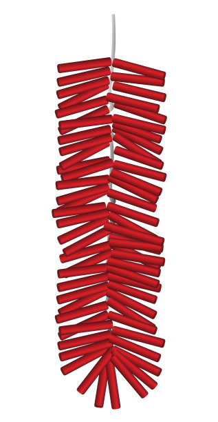 红色的中国鞭炮上一片白色图片下载