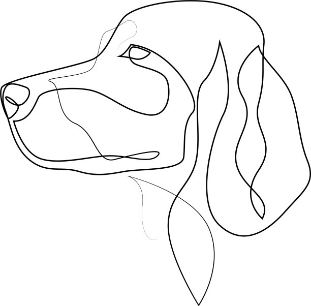 连续爱尔兰setter单行最小图片下载