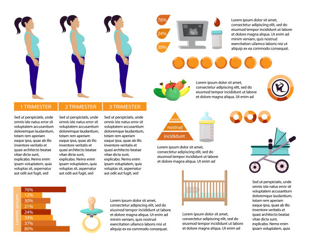 怀孕信息图文章页扁平模板图片下载
