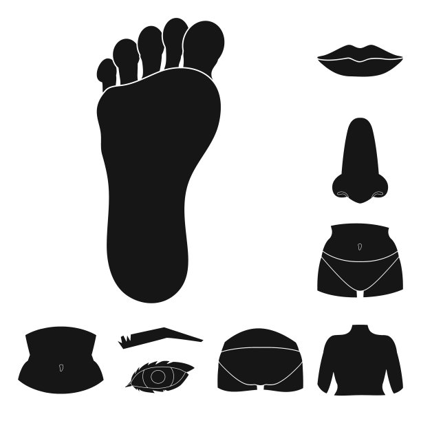 设计车身和零件标识集车身图片下载